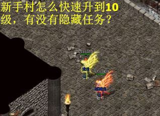 新手村怎么快速升到10级，有没有隐藏任务？