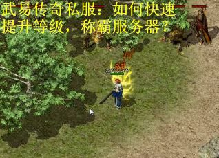 武易传奇私服：如何快速提升等级，称霸服务器？