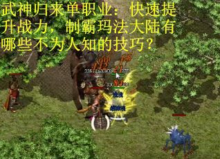 武神归来单职业：快速提升战力，制霸玛法大陆有哪些不为人知的技巧？