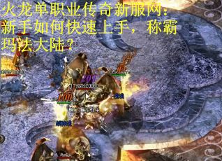 火龙单职业传奇新服网：新手如何快速上手，称霸玛法大陆？