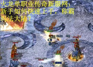 火龙单职业传奇新服网：新手如何快速上手，称霸玛法大陆？