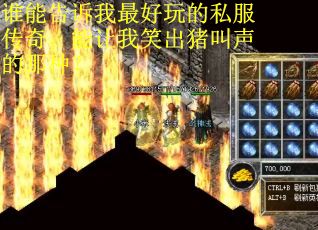 谁能告诉我最好玩的私服传奇，能让我笑出猪叫声的那种？