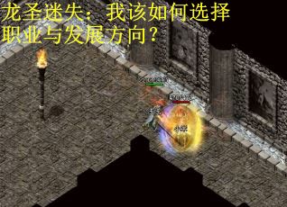龙圣迷失：我该如何选择职业与发展方向？