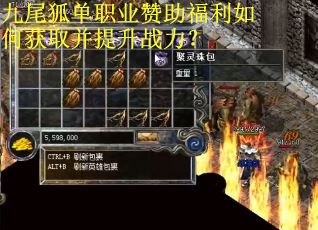 九尾狐单职业赞助福利如何获取并提升战力？