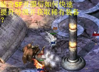 传奇SF开服后如何快速提升等级并获取稀有装备？