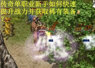 传奇单职业新手如何快速提升战力并获取稀有装备？