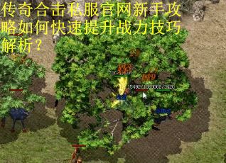 传奇合击私服官网新手攻略如何快速提升战力技巧解析？