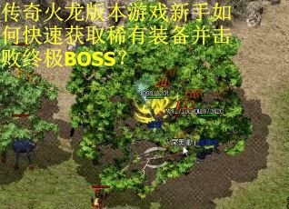 传奇火龙版本游戏新手如何快速获取稀有装备并击败终极BOSS？