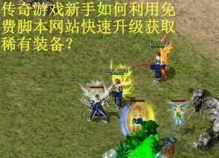 传奇游戏新手如何利用免费脚本网站快速升级获取稀有装备？