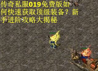 传奇私服019免费版如何快速获取顶级装备？新手进阶攻略大揭秘