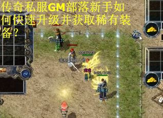 传奇私服GM部落新手如何快速升级并获取稀有装备？