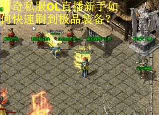 传奇私服OL直播新手如何快速刷到极品装备？
