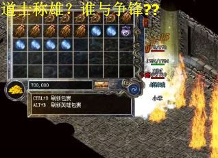 道士称雄？谁与争锋??