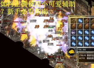 如何正确使用小可爱辅助?新手必看指南 如何正确使用小可爱辅助?新手必看指南