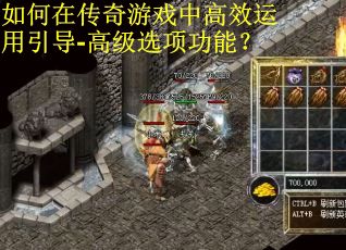 如何在传奇游戏中高效运用引导-高级选项功能？