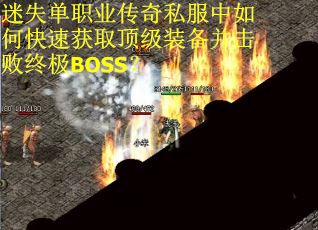 迷失单职业传奇私服中如何快速获取顶级装备并击败终极BOSS？