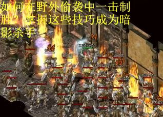 如何在野外偷袭中一击制胜？掌握这些技巧成为暗影杀手