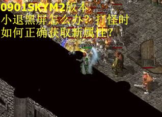 0901SKYM2版本小退黑屏怎么办？打怪时如何正确获取新属性？