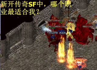 新开传奇SF中，哪个职业最适合我？