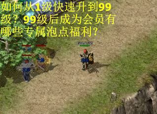 如何从1级快速升到99级?99级后成为会员有哪些专属泡点福利? 如何从1级快速升到99级?99级后成为会员有哪些专属泡点福利?