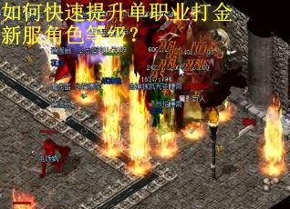 如何快速提升单职业打金新服角色等级？