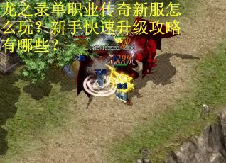 龙之录单职业传奇新服怎么玩？新手快速升级攻略有哪些？